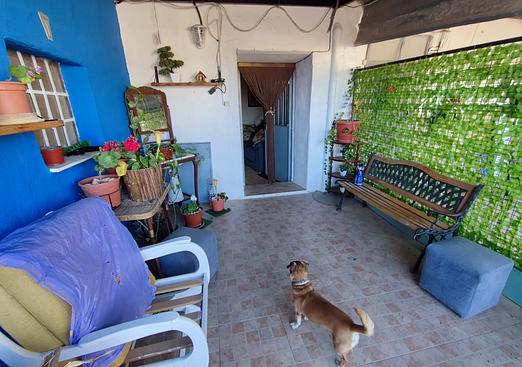 Property in Yecla