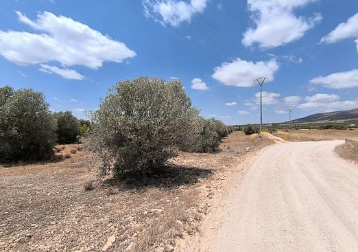 Property in Caudete