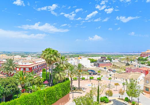 Apartment in San Miguel de Salinas