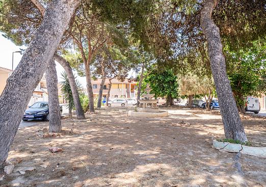 Apartment in Torrevieja