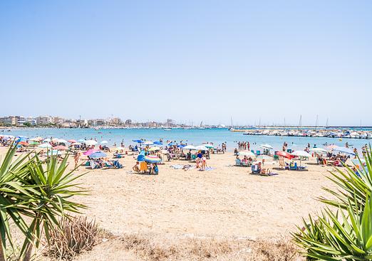 Apartment in Torrevieja