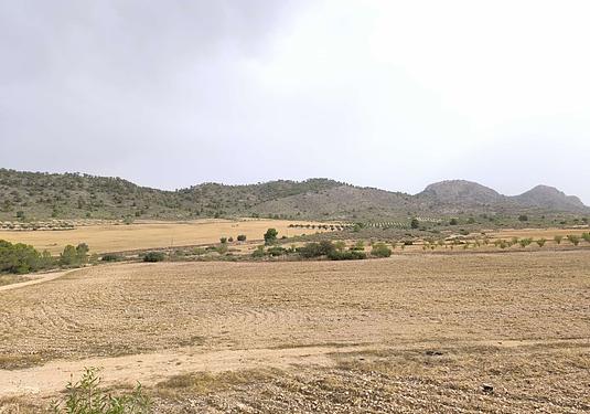 Land in Yecla
