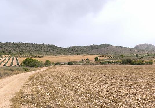 Land in Yecla