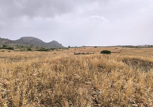Land in Yecla