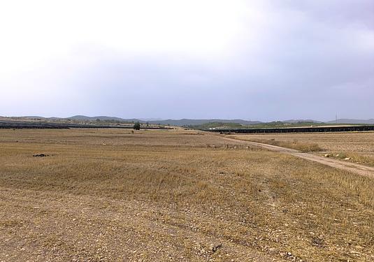 Land in Yecla