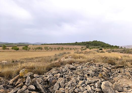 Land in Yecla