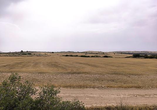 Land in Yecla