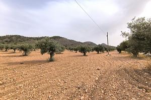 thumb 8