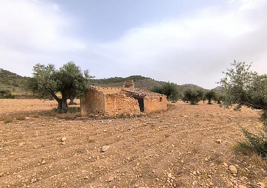 Land in Yecla