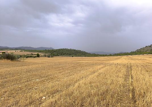 Land in Yecla