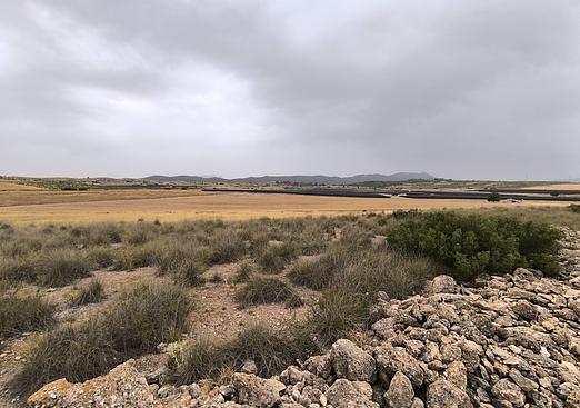 Land in Yecla