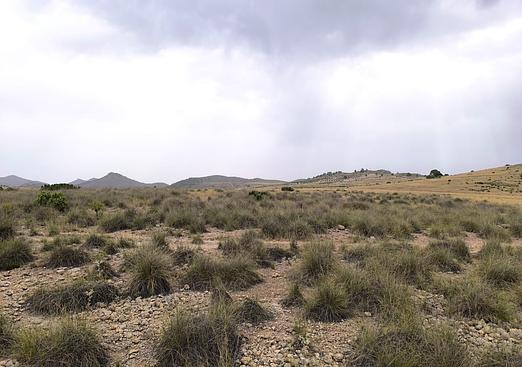Land in Yecla