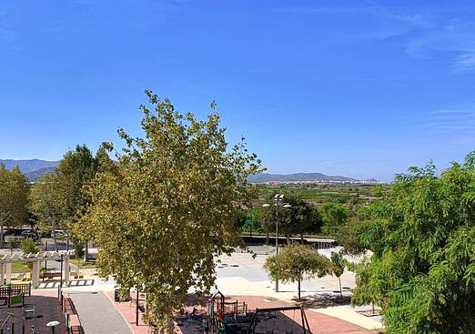 Apartment in Oliva