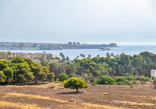 Apartment in Torrevieja