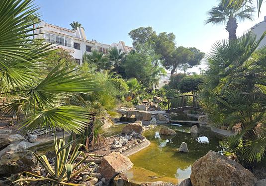 Apartment in Villamartin