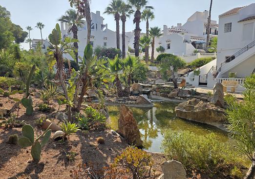 Apartment in Villamartin