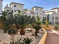 Bungalow in Torrevieja