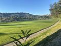 Land in Rojales