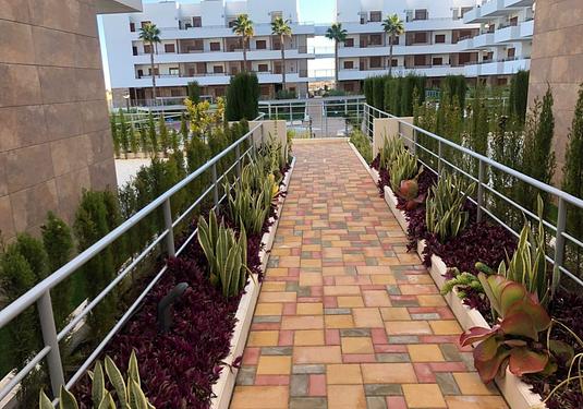 Apartment in Cabo Roig