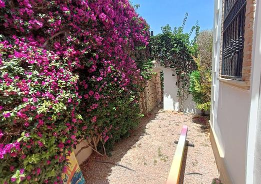 Villa in Algorfa