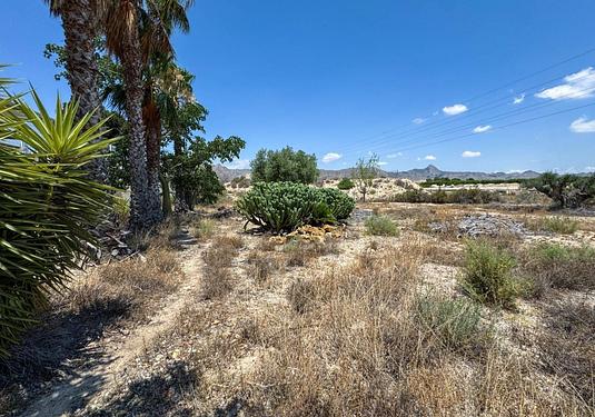 Country house in Orihuela