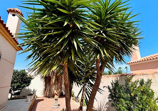 Villa in Torrevieja