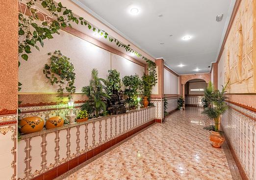 Apartment in La Mata