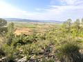 Land in Yecla