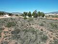 Land in Pinoso