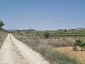 Land in Pinoso