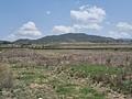 Land in Pinoso