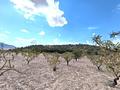 Land in Yecla