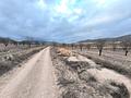 Land in La Solana