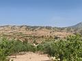 Land in Abanilla