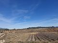 Land in Pinoso