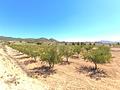 Land in Monóvar/Monóver