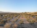 Land in Pinoso