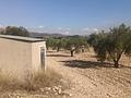 Land in Salinas