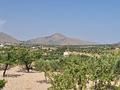 Land in Abanilla