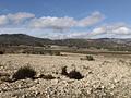 Land in Salinas