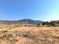 Land in Algueña