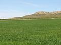 Land in Yecla