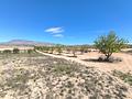Land in Jumilla
