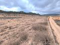 Land in La Solana