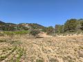 Land in Yecla