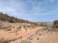 Land in Abanilla