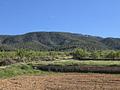 Land in Monóvar/Monóver