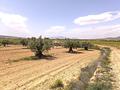 Land in Pinoso