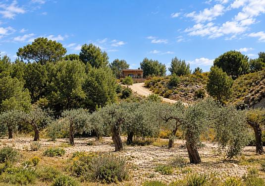 Villa in Murcia