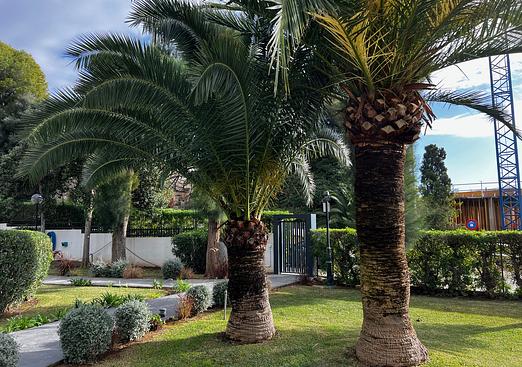 Apartment in Portals Nous